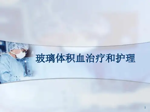 玻璃体积血PPT课件