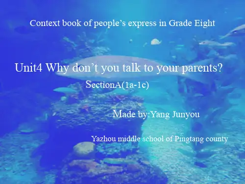 人教版九年级全一册英语《Unit 7 Teenagers should be allowed to 》课件公开课 (11)
