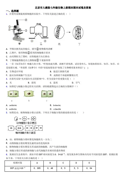 北京市人教版七年级生物上册期末期末试卷及答案