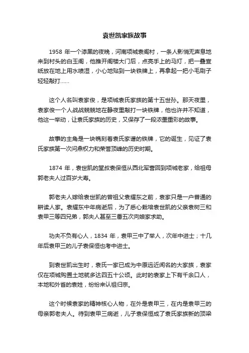 袁世凯家族故事