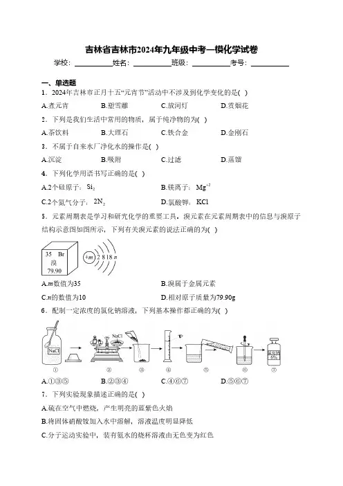 2024年吉林省吉林市九年级中考一模化学试卷(含解析)