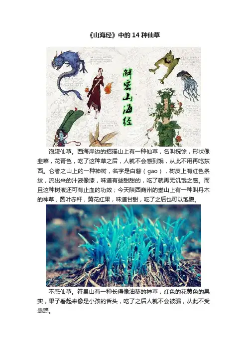《山海经》中的14种仙草