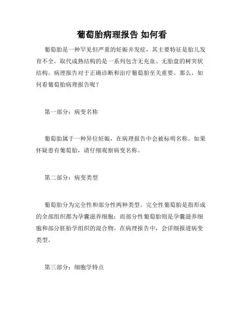 葡萄胎病理报告 如何看