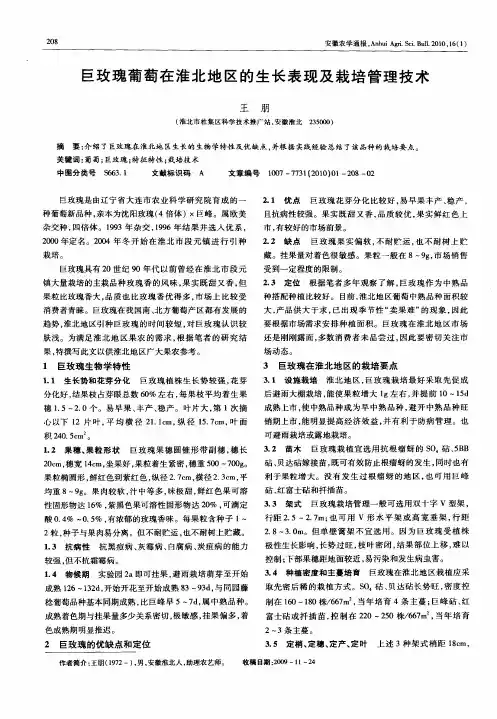 巨玫瑰葡萄在淮北地区的生长表现及栽培管理技术