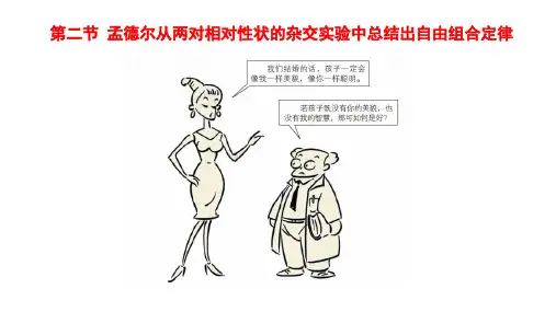 孟德尔从两对相对性状的杂交实验中总结出自由组合定律课件高一下学期生物浙科版必修2