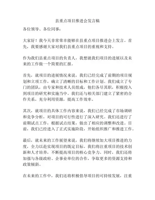 县重点项目推进会发言稿