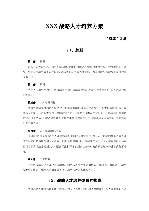 战略人才培养方案