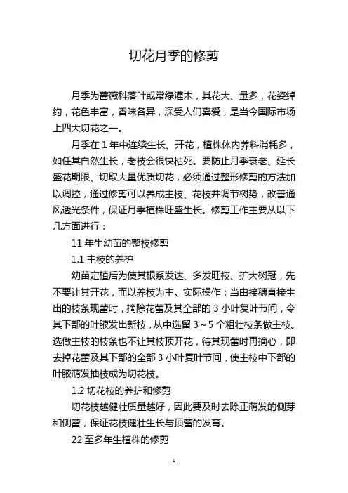 切花月季的修剪