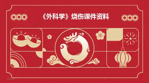 2024年《外科学》烧伤课件资料