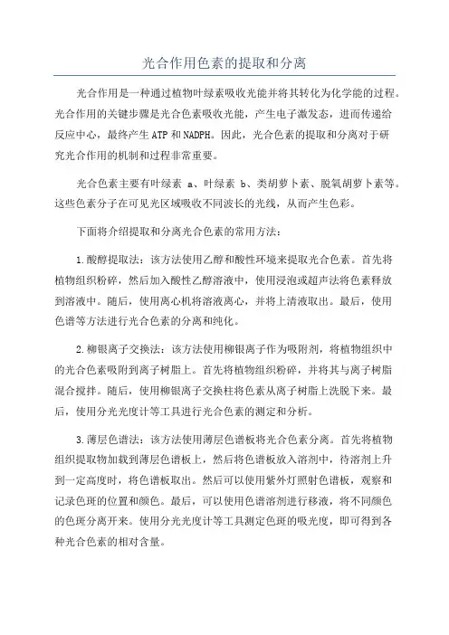 光合作用色素的提取和分离