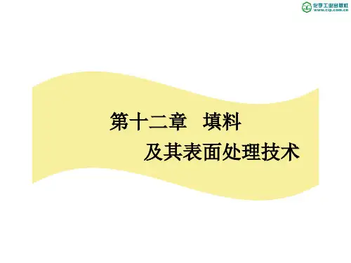 第十二章填料