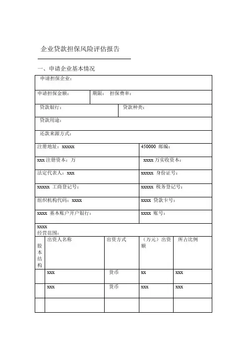 企业贷款担保风险评价报告样本