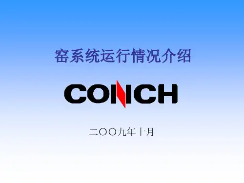 5000吨回转窑工艺技术