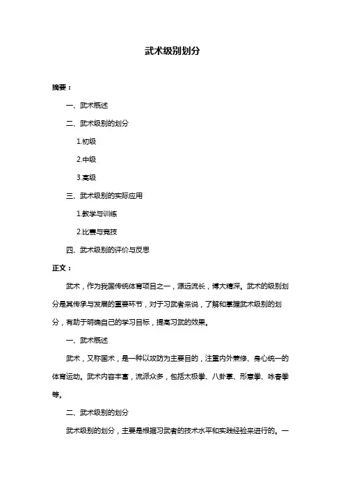 武术级别划分