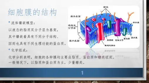 热工测试技术PPT课件