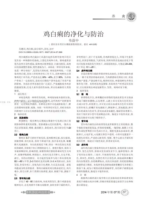 鸡白痢的净化与防治