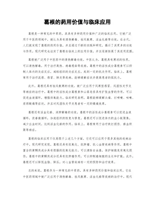 葛根的药用价值与临床应用