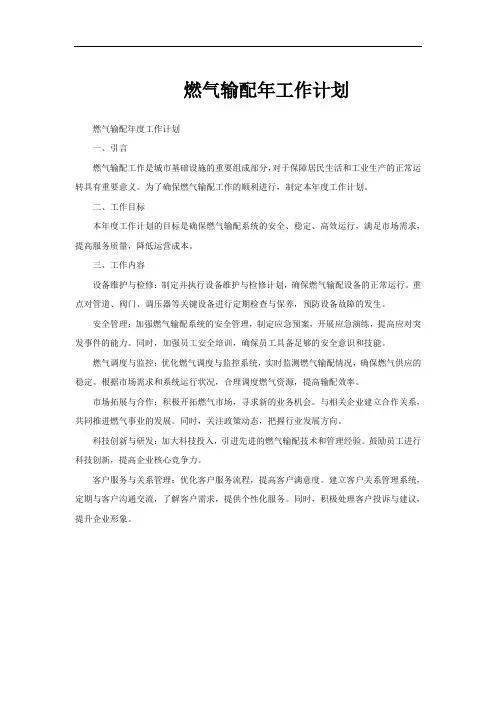 燃气输配年工作计划