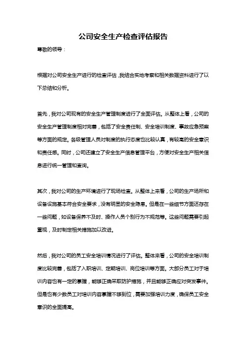 公司安全生产检查评估报告