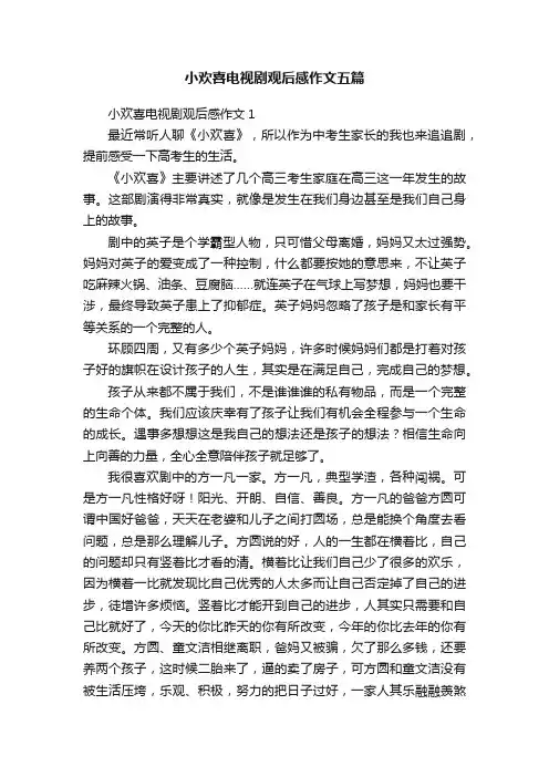 小欢喜电视剧观后感作文五篇