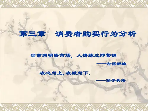 市场营销学  第三章  消费者购买行为分析