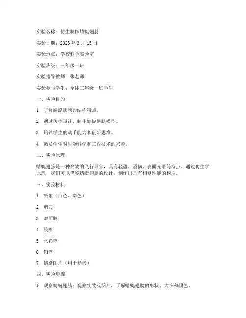 小学科学仿生实验报告单