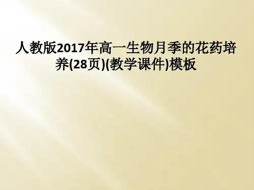 人教版2017年高一生物月季的花药培养(28页)(教学课件)模板