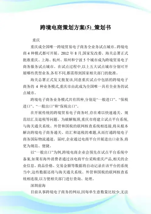 跨境电商策划方案(5)_策划书.doc