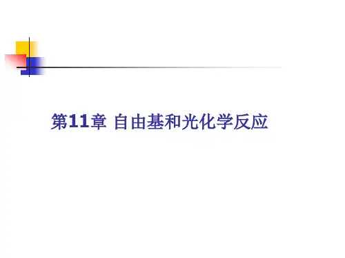 高等第11章 自由基和光化学反应