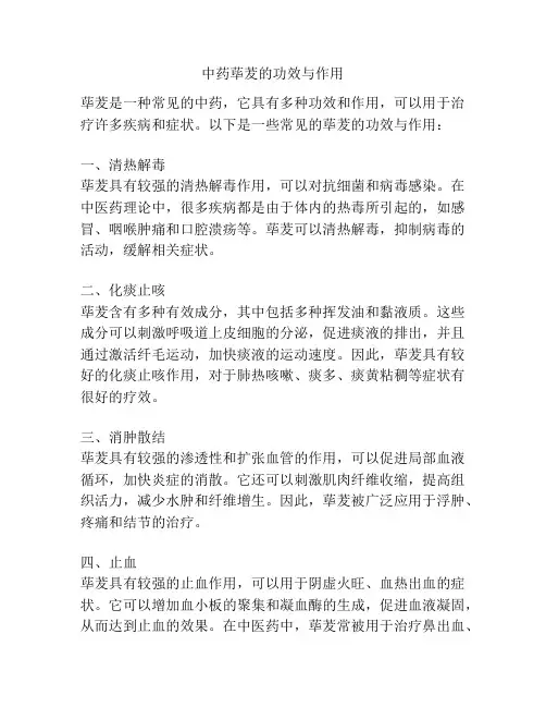 中药荜茇的功效与作用