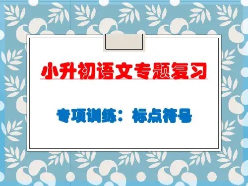 小升初语文专题复习PPT课件