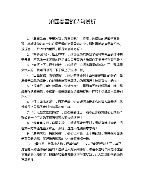 沁园春雪的诗句赏析