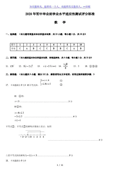 2020年初中毕业班学业水平适应性测试 数学(参考答案)
