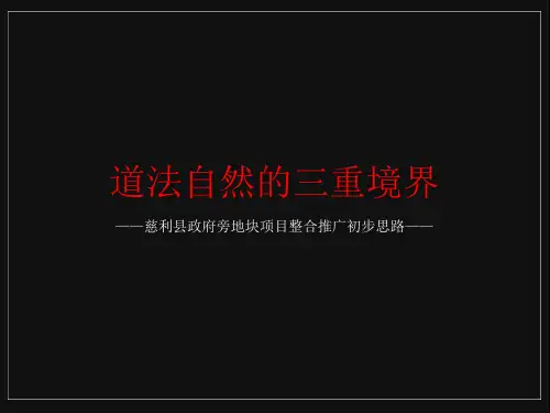 湖南慈利县政府旁地块项目整合推广初步思路92页