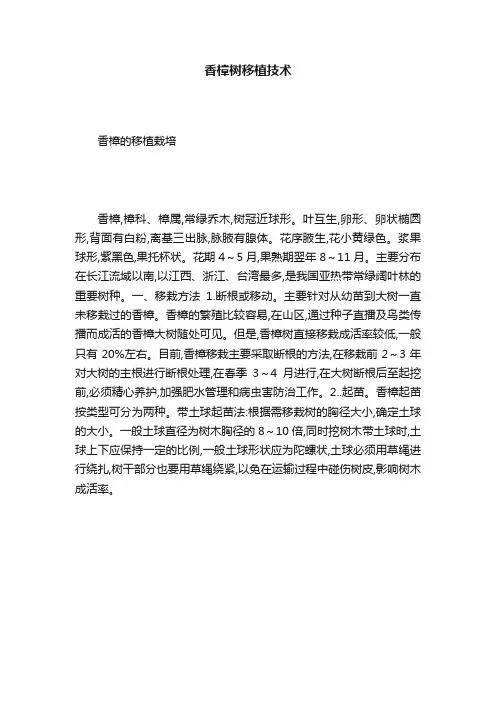 香樟树移植技术