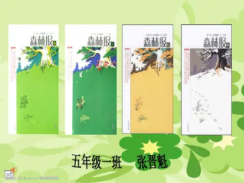好书推荐《森林报》PPT课件