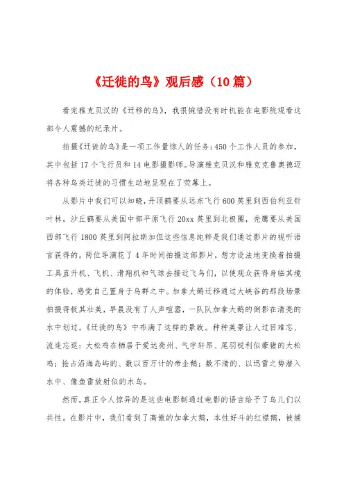 《迁徙的鸟》观后感(10篇)