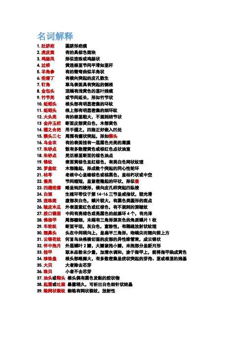 鉴定名词解释