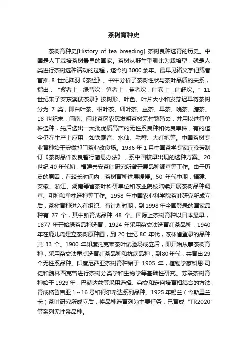 茶树育种史