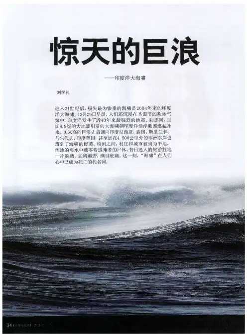 惊天的巨浪——印度洋大海啸