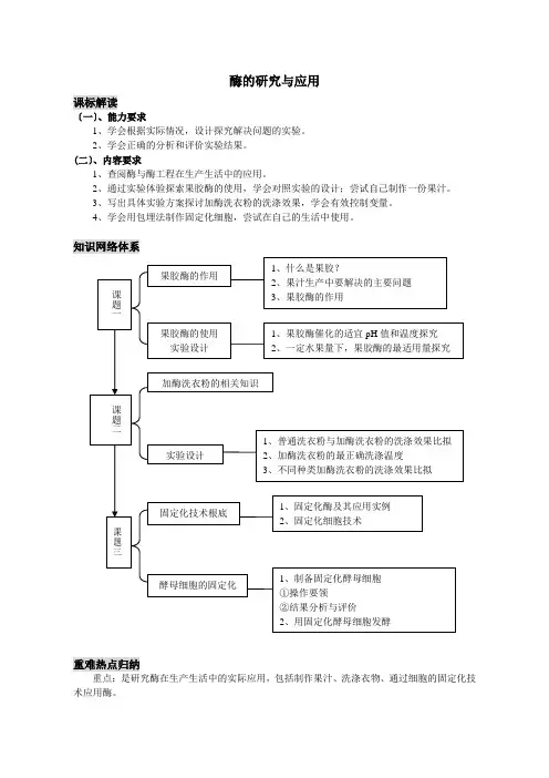 人教新课标高中生物选修一《酶的研究与应用》专题复习