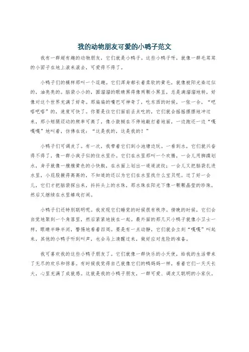 我的动物朋友可爱的小鸭子范文