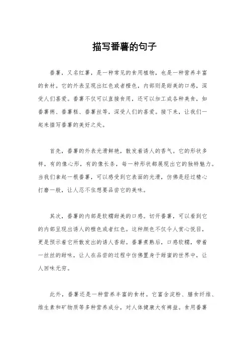 描写番薯的句子