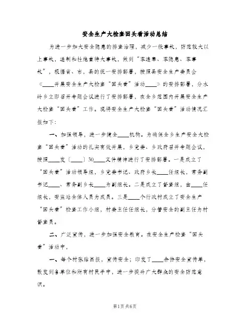 安全生产大检查回头看活动总结（2篇）