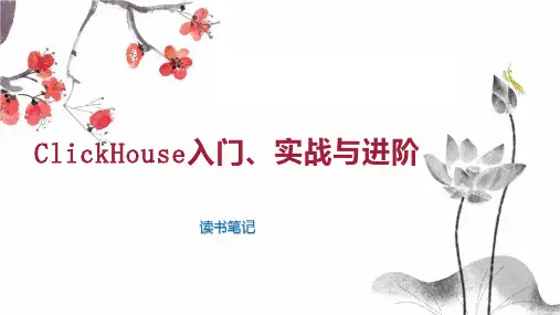 ClickHouse入门 实战与进阶