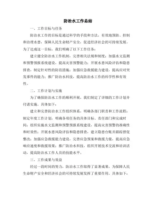 防治水工作总结