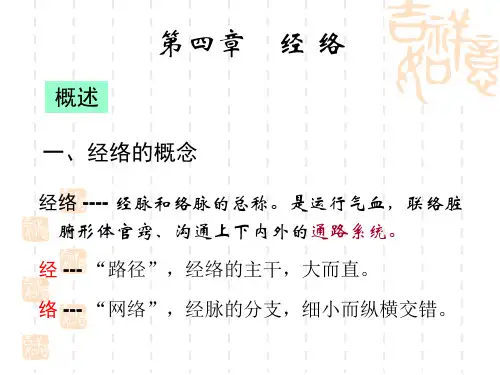 中医学基础理论PPT课件-经络