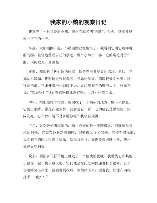 小学三年级作文我家的小鹅的观察日记