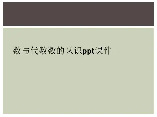数与代数数的认识ppt课件