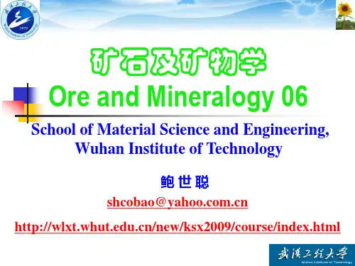 矿石矿物学06